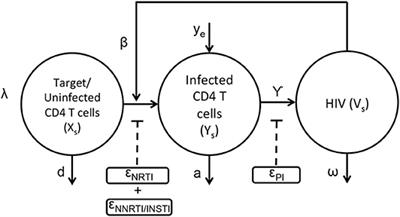 An Integrated Spatial Dynamics—Pharmacokinetic Model Explaining Poor Penetration of Anti-retroviral Drugs in Lymph Nodes